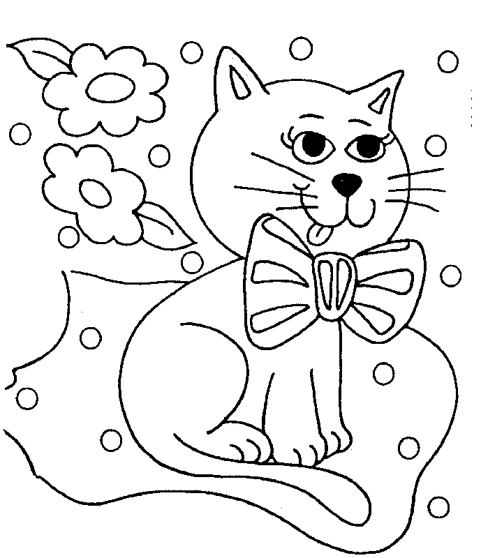 cats 14